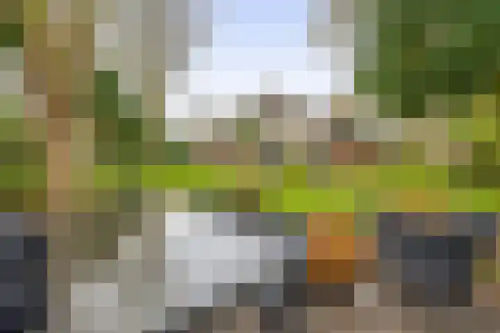 Vogelzand 3102 Julianadorp thumbnail 14