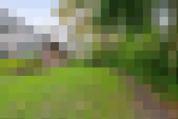 Vogelzand 3102 Julianadorp thumbnail 15