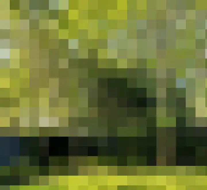 Vogelzand 3102 Julianadorp thumbnail 18