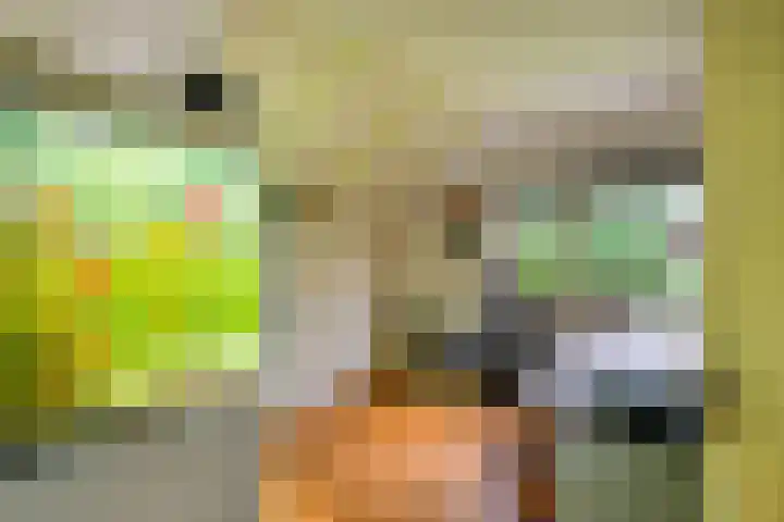 Vogelzand 3102 Julianadorp thumbnail 23