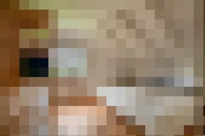 Vogelzand 3102 Julianadorp thumbnail 24