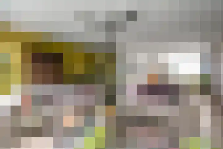 Vogelzand 3222 Julianadorp thumbnail 11