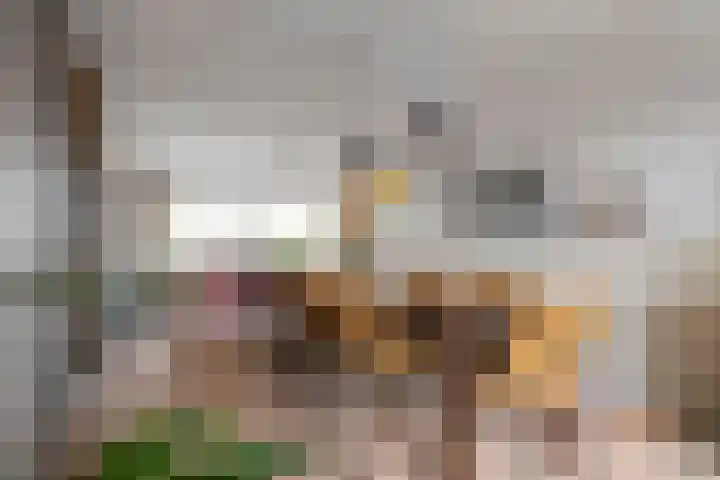 Vogelzand 3222 Julianadorp thumbnail 16