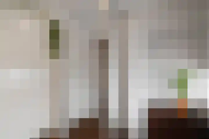Vogelzand 3222 Julianadorp thumbnail 19