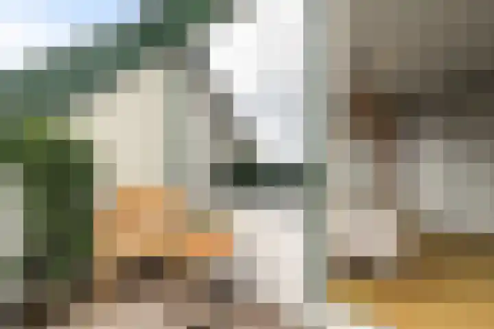 Vogelzand 3222 Julianadorp thumbnail 23