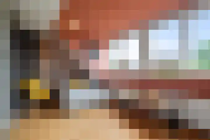 Vogelzand 3222 Julianadorp thumbnail 27