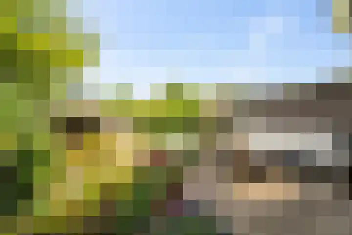 Vogelzand 3222 Julianadorp thumbnail 4