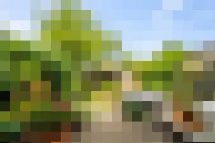 Vogelzand 3222 Julianadorp thumbnail 5