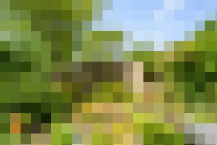 Vogelzand 3222 Julianadorp thumbnail 6