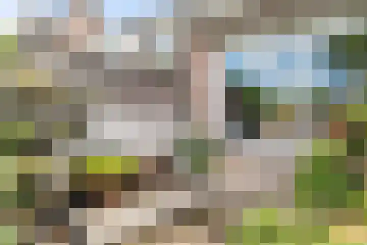 Vogelzand 3222 Julianadorp thumbnail 8