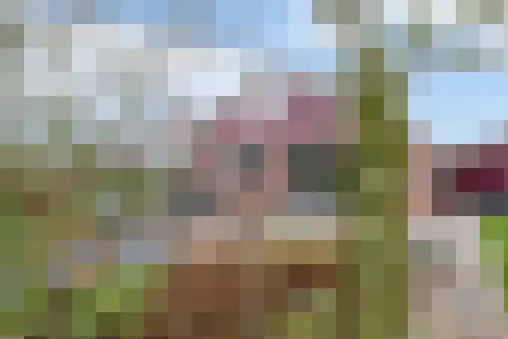Vogelzand 3235 Julianadorp thumbnail 17