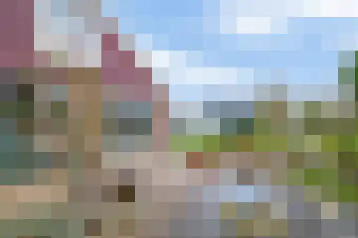 Vogelzand 3235 Julianadorp thumbnail 18