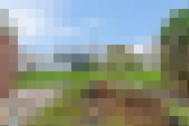 Vogelzand 3235 Julianadorp thumbnail 20