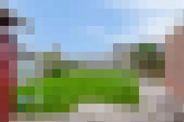 Vogelzand 3235 Julianadorp thumbnail 21