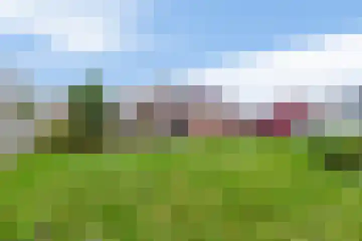 Vogelzand 3235 Julianadorp thumbnail 22