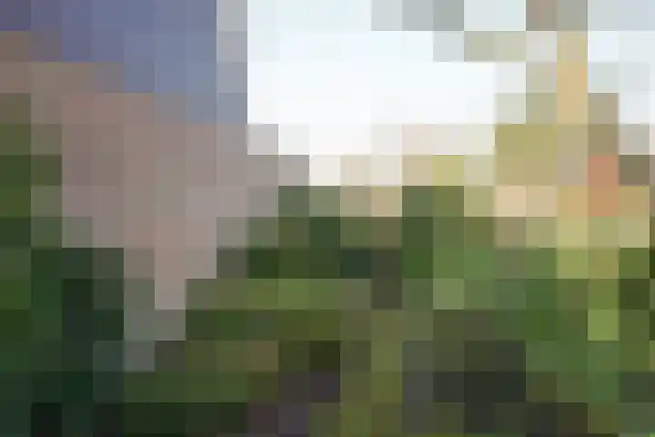 Vogelzand 3412 Julianadorp thumbnail 30