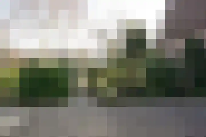 Vogelzand 3412 Julianadorp thumbnail 31