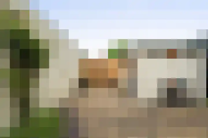Vogelzand 3418 Julianadorp thumbnail 13