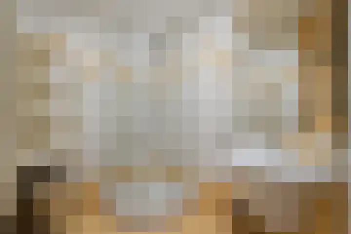 Vogelzand 3418 Julianadorp thumbnail 18