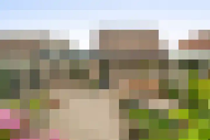 Vogelzand 3418 Julianadorp thumbnail 22