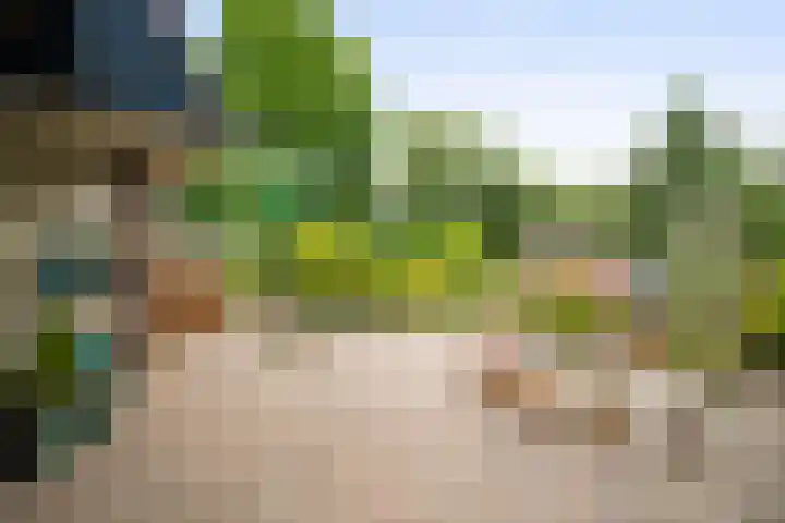 Vogelzand 3418 Julianadorp thumbnail 23