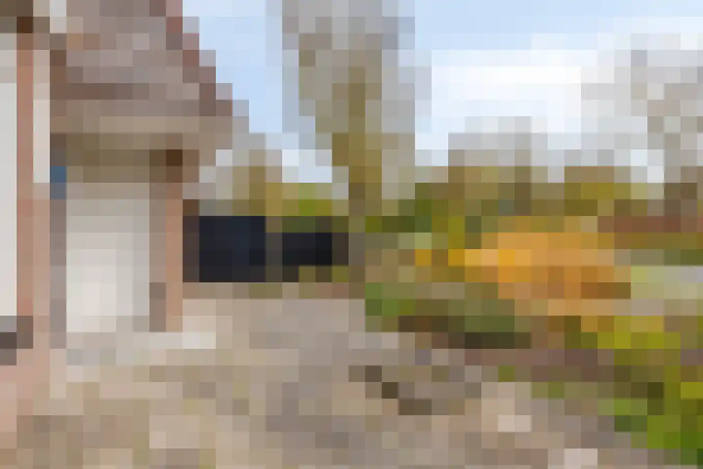 Vogelzand 3421 Julianadorp thumbnail 39