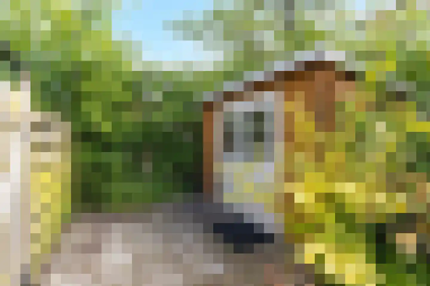 Vogelzand 3425 Julianadorp thumbnail 27