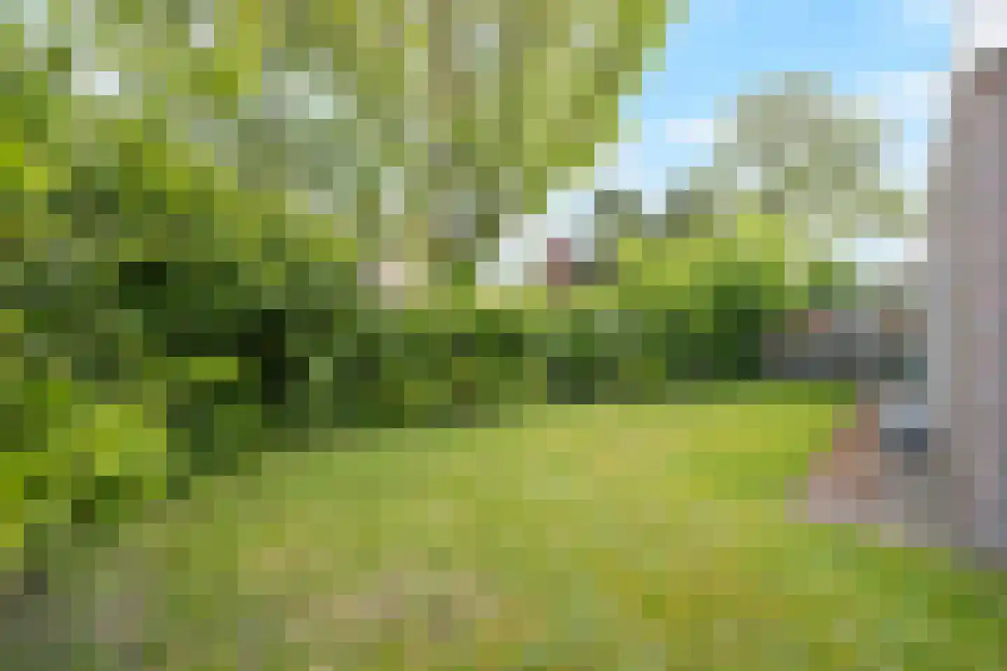 Vogelzand 3425 Julianadorp thumbnail 30
