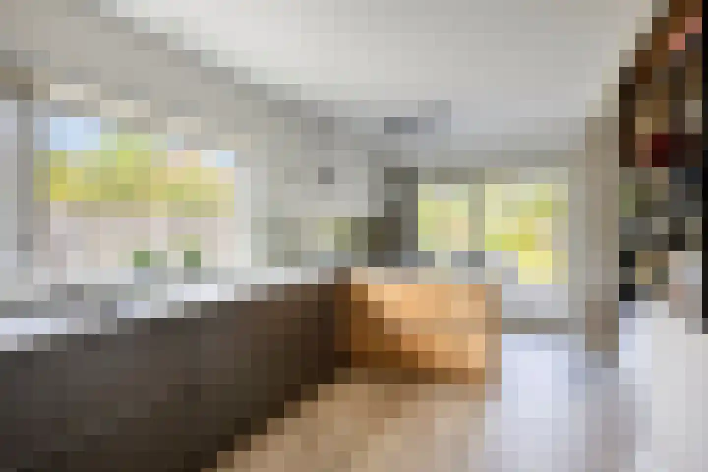 Vogelzand 3603 Julianadorp thumbnail 12
