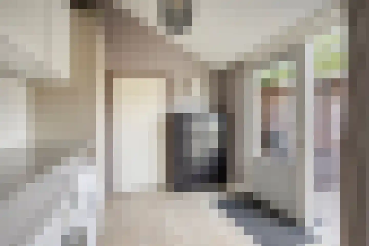Vogelzand 3603 Julianadorp thumbnail 15