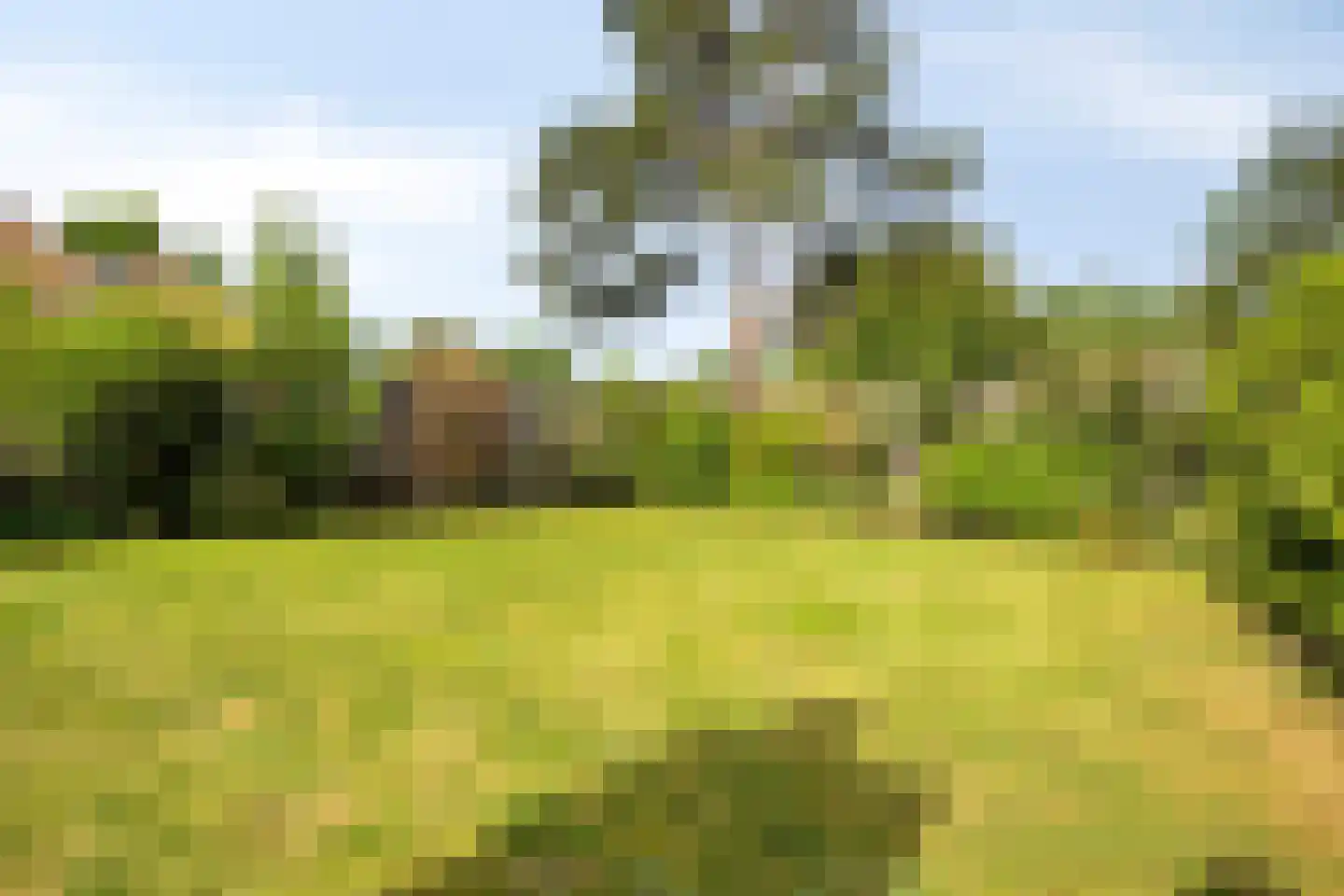 Vogelzand 3603 Julianadorp thumbnail 37