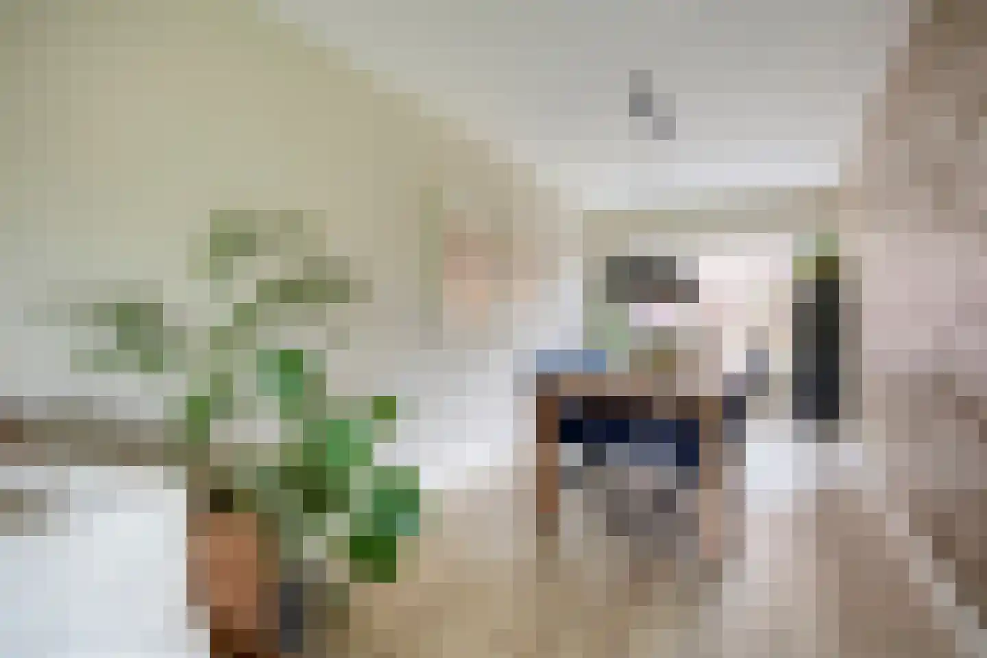 Vogelzand 3603 Julianadorp thumbnail 9