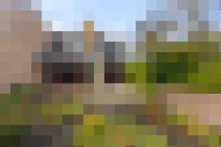 Vogelzand 3628 Julianadorp thumbnail 17