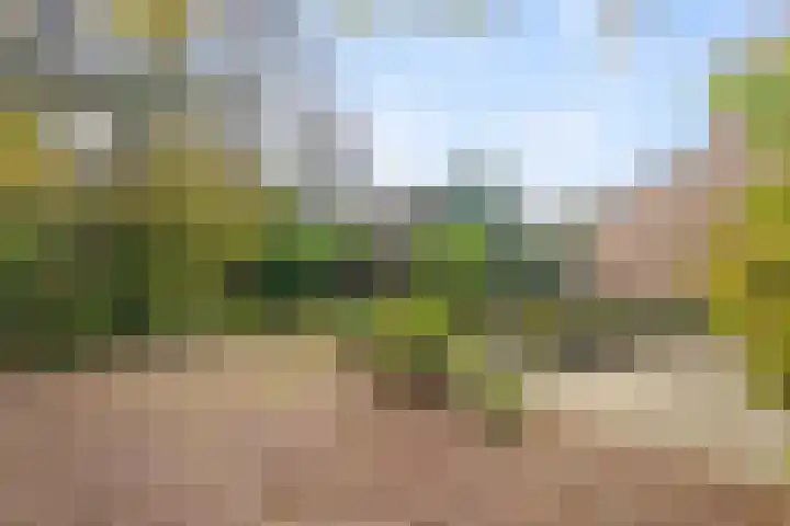 Vogelzand 3628 Julianadorp thumbnail 18