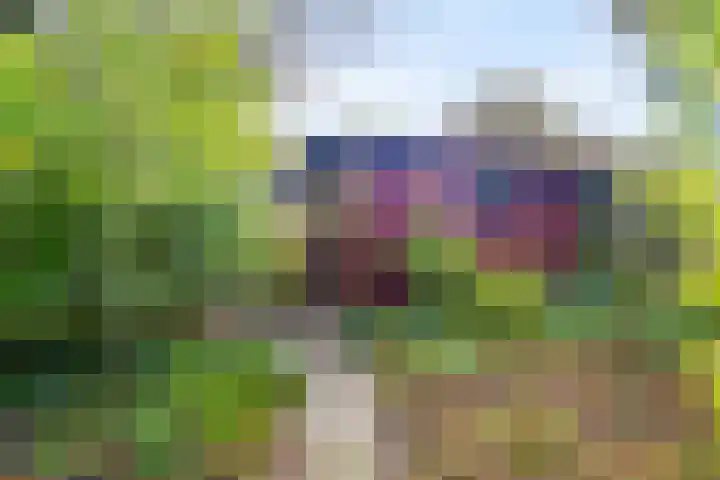 Vogelzand 3628 Julianadorp thumbnail 20
