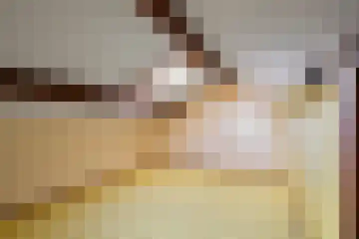 Vogelzand 3628 Julianadorp thumbnail 33