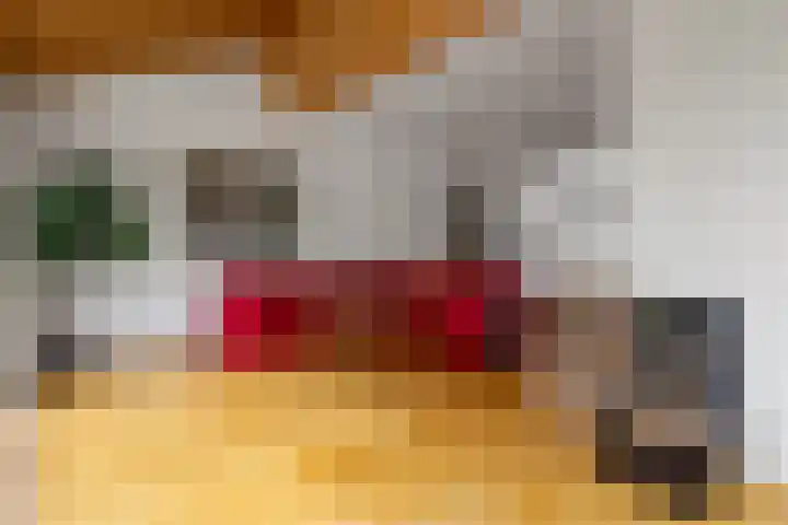 Vogelzand 3628 Julianadorp thumbnail 8
