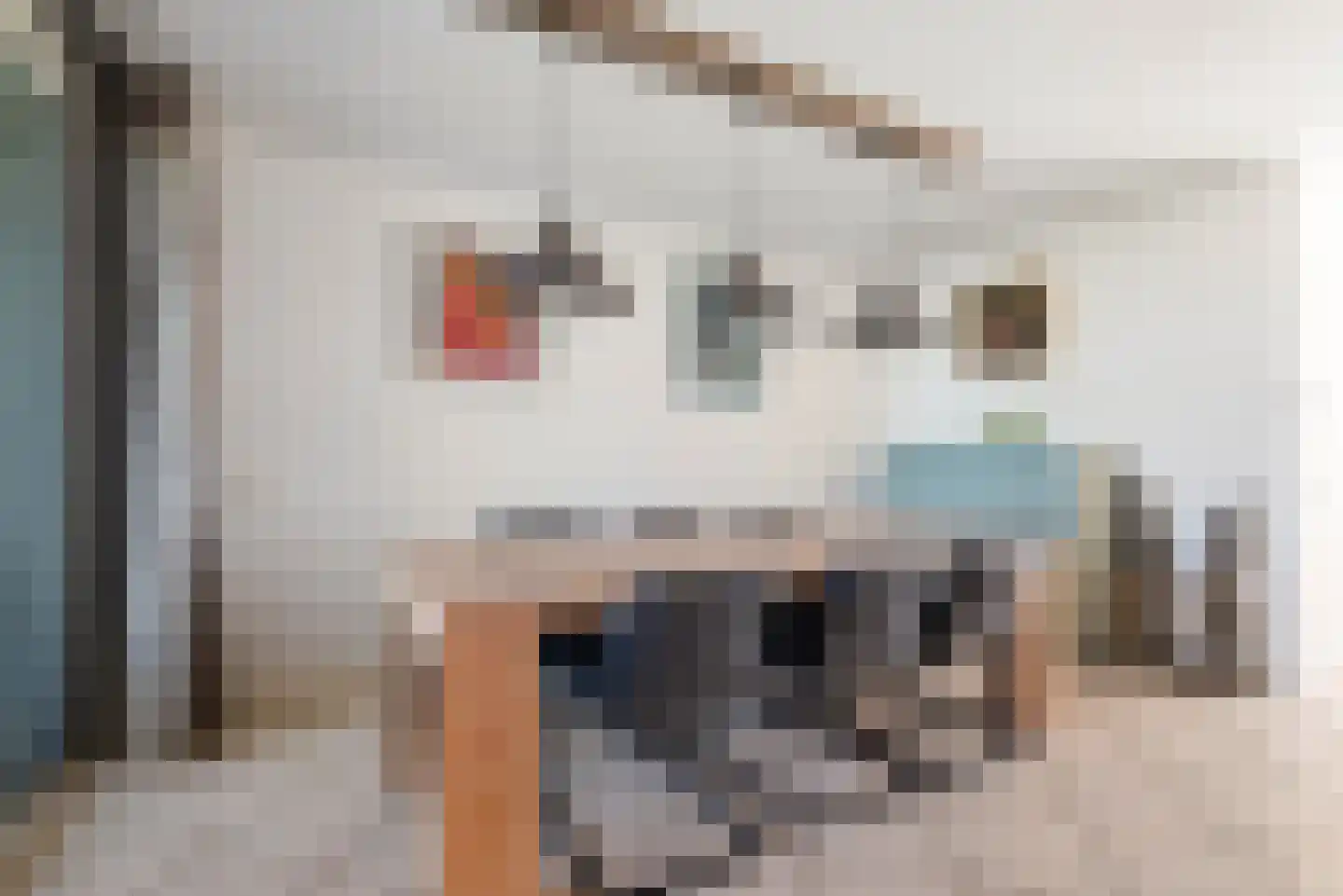 Vogelzand 4204 Julianadorp thumbnail 16