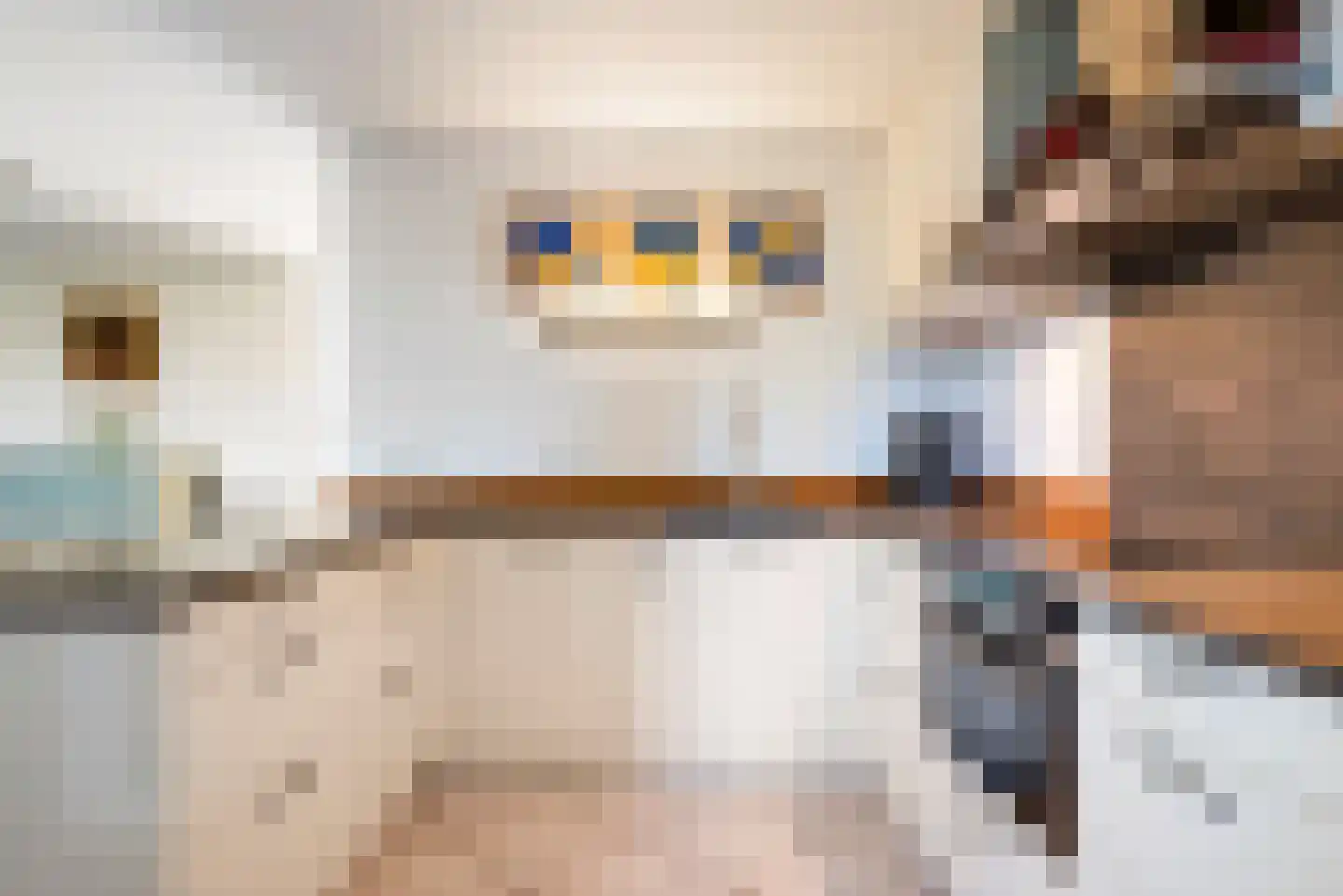 Vogelzand 4204 Julianadorp thumbnail 17
