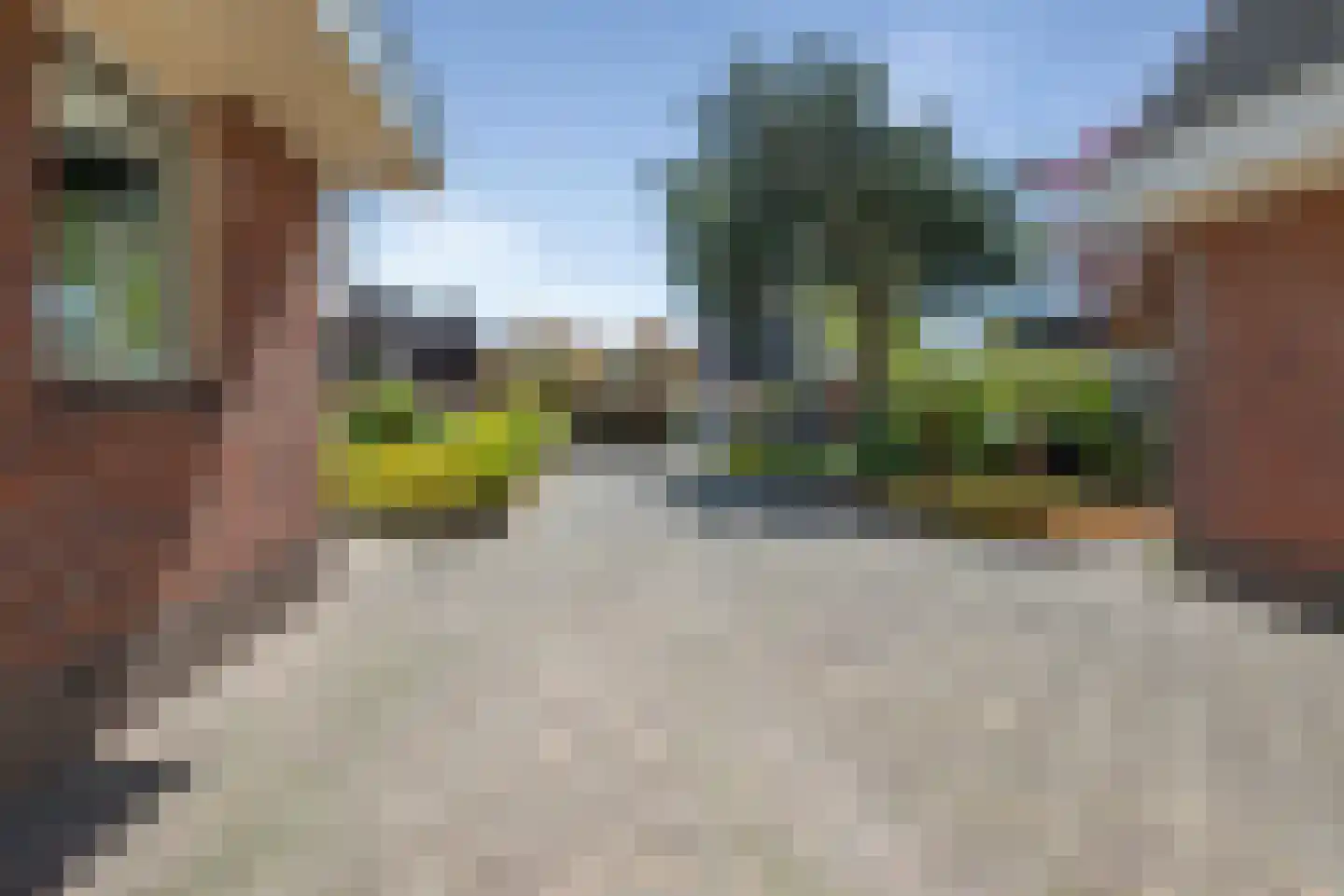 Vogelzand 4204 Julianadorp thumbnail 54