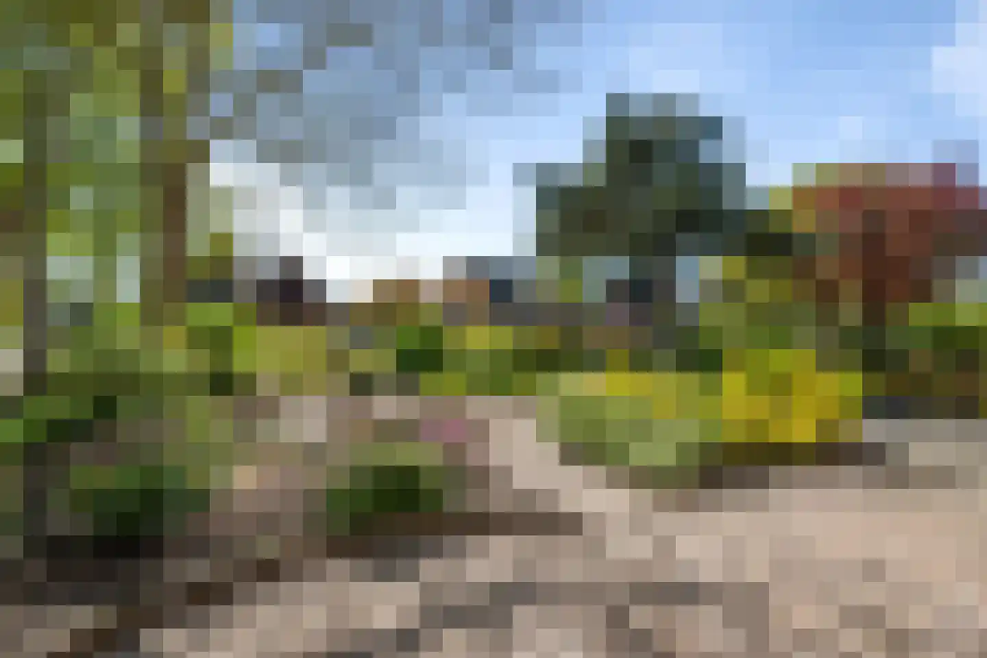 Vogelzand 4204 Julianadorp thumbnail 56