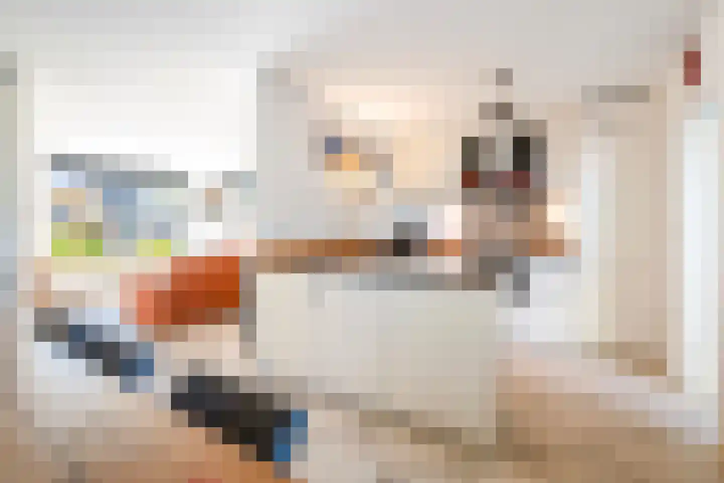 Vogelzand 4204 Julianadorp thumbnail 9