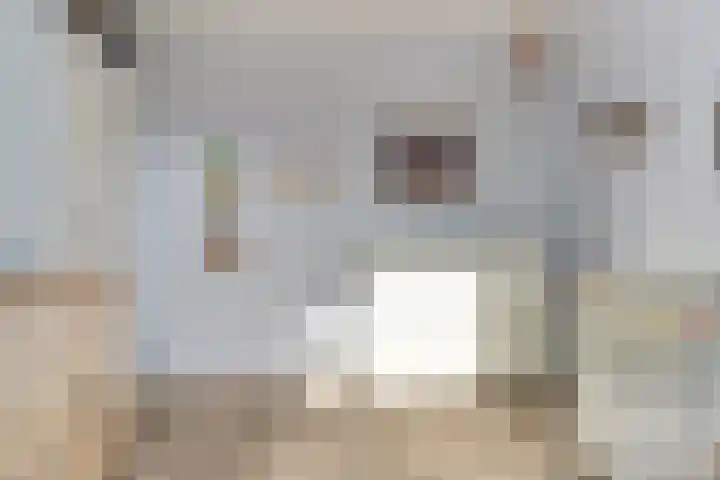 Vogelzang 10 Elst thumbnail 16