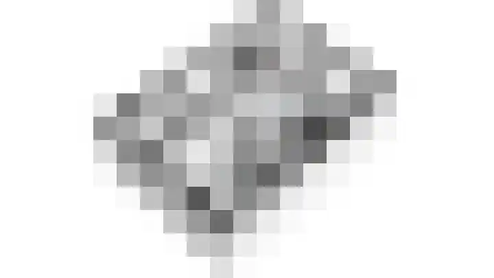 Vogelzang 10 Elst thumbnail 31