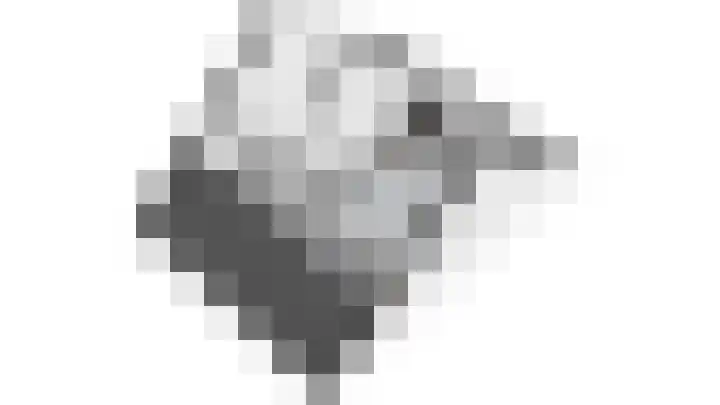 Vogelzang 10 Elst thumbnail 33