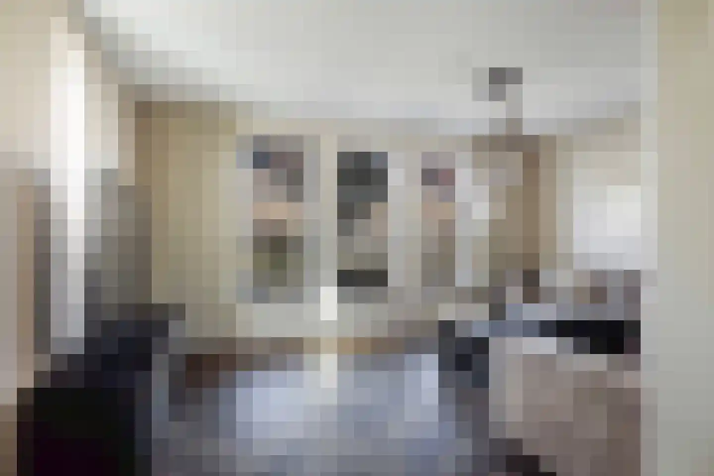Vogelzang 102 Drachten thumbnail 4