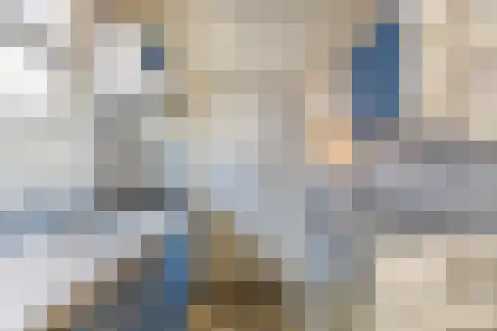 Vogelzang 112 Drachten thumbnail 15