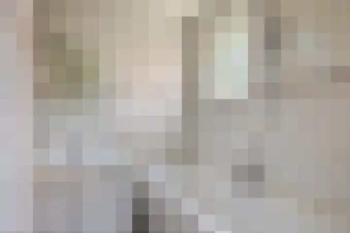 Vogelzang 112 Drachten thumbnail 18