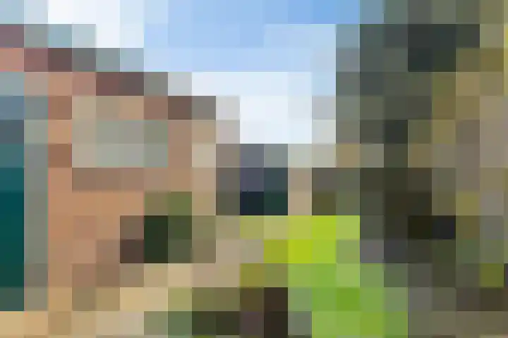 Vogelzang 112 Drachten thumbnail 22