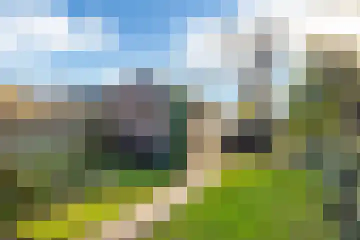 Vogelzang 112 Drachten thumbnail 24